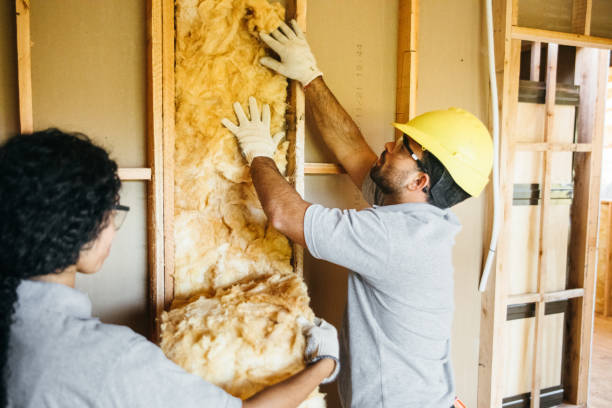 Soundproof Insulation Installation in Gray, LA